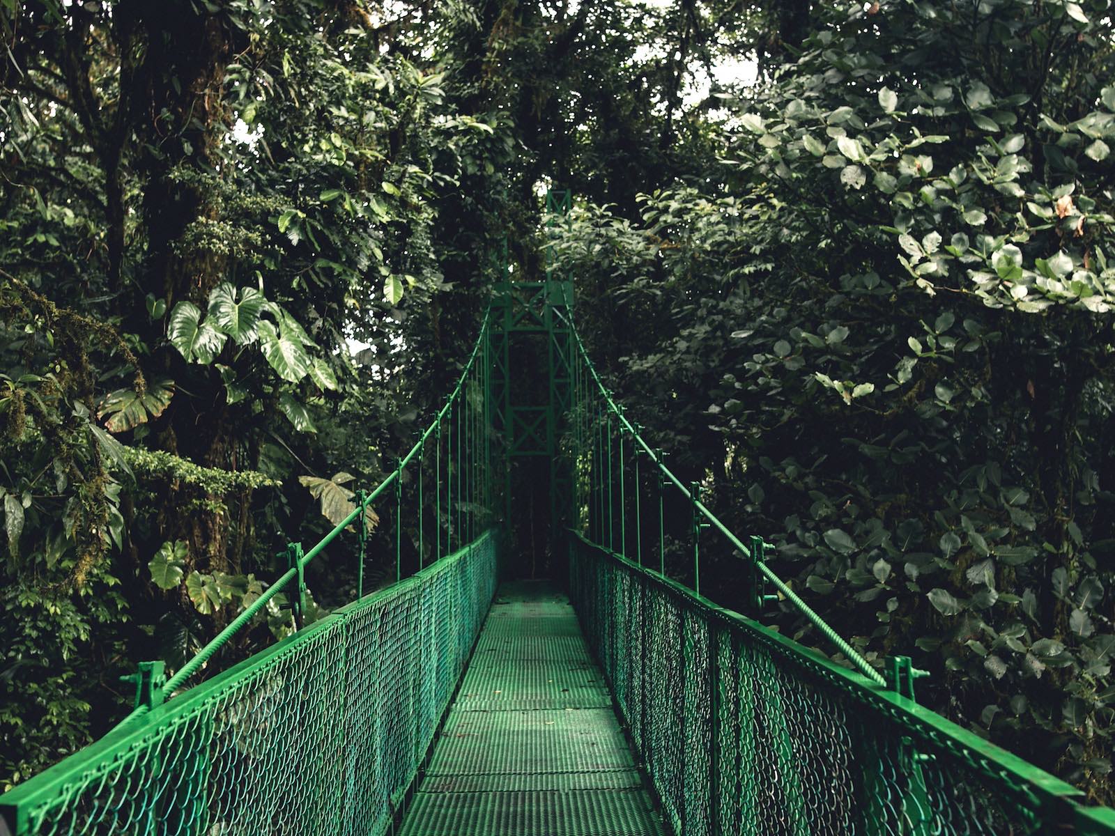 activiteiten in Monteverde
